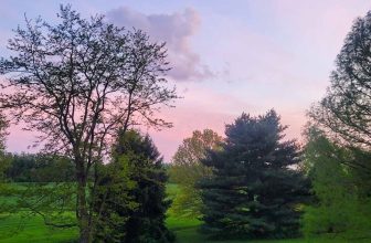 The Little Issues E-newsletter #416 – Life, laughter, and plenty of nice meals!