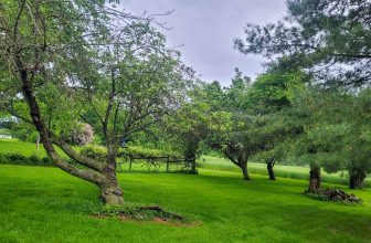 The Little Issues Publication #417 – Life, laughter, and many nice meals!