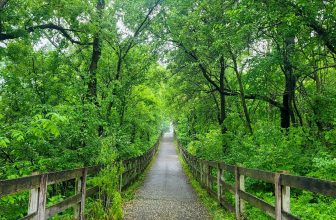 The Little Issues E-newsletter #419 – Life, laughter, and plenty of nice meals!