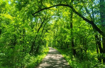 The Little Issues Publication #420 – Life, laughter, and many nice meals!