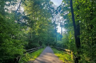 The Little Issues E-newsletter #421 – Life, laughter, and many nice meals!