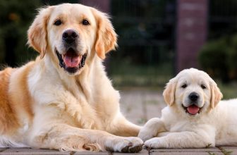 Can You Clear up These ‘Relative’-ly Easy Brainteasers?