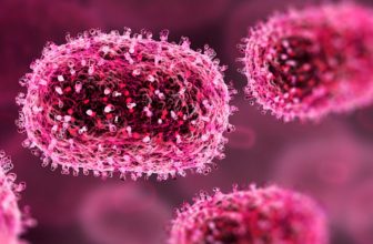 As Feared, Mpox Is Now Formally a International Well being Emergency