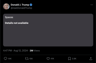 Elon Musk claims ‘huge DDOS assault’ delayed his stay stream with Donald Trump