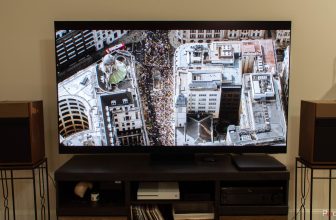 A surprising OLED mannequin for 2024