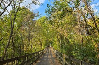 The Little Issues Publication #439 – Life, laughter, and many nice meals!