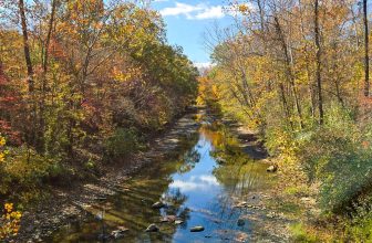 The Little Issues E-newsletter #440 – Life, laughter, and many nice meals!