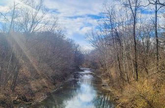 The Little Issues E-newsletter #445 – Life, laughter, and many nice meals!