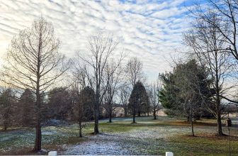 The Little Issues Publication #447 – Life, laughter, and plenty of nice meals!