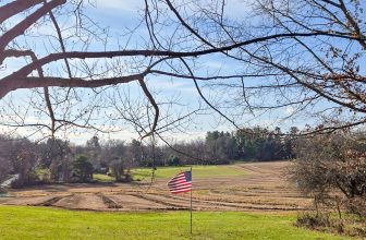 The Little Issues E-newsletter #449 – Life, laughter, and many nice meals!