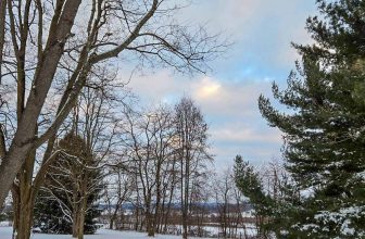 The Little Issues E-newsletter #450 – Life, laughter, and plenty of nice meals!