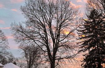 The Little Issues E-newsletter #452 – Life, laughter, and plenty of nice meals!